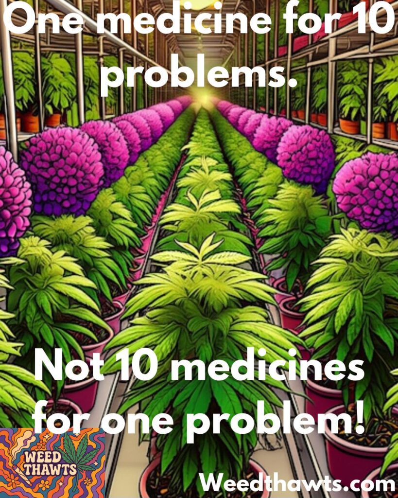 This is an experiment. When we get high, we have these long, funny, insightful, moving, emotional, and irreverent thoughts. We've been doing this for some time and thought, "Maybe other folks have them too?" This is an anonymous podcast featuring our avatars talking about whatever. We hope you enjoy it. Please feel free to contact us at weedthawts@gmail.com.
